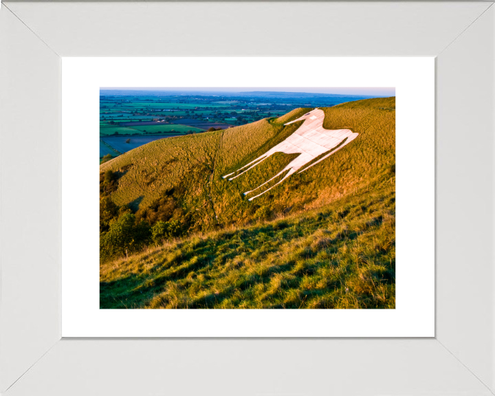 Cherhill White Horse in Wiltshire Photo Print - Canvas - Framed Photo Print - Hampshire Prints