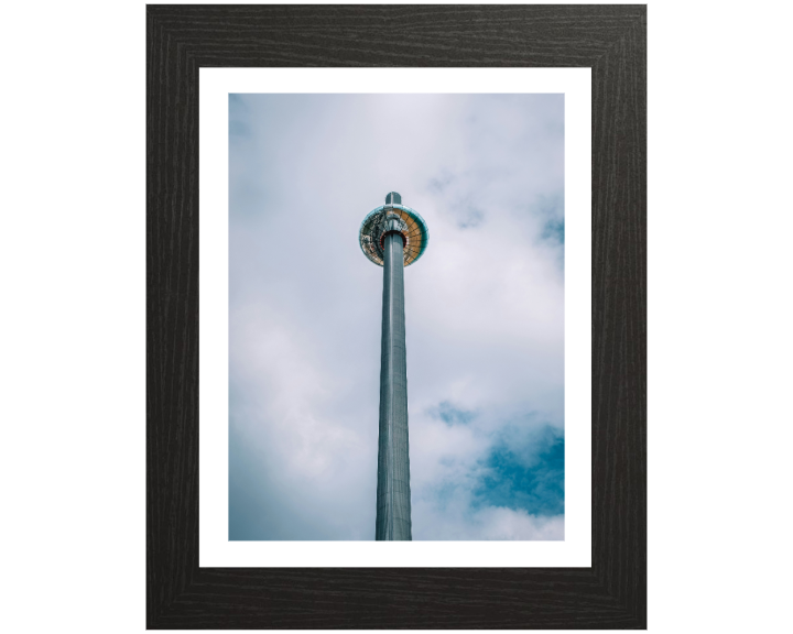 i360 ride on Brighton seafront Photo Print - Canvas - Framed Photo Print - Hampshire Prints