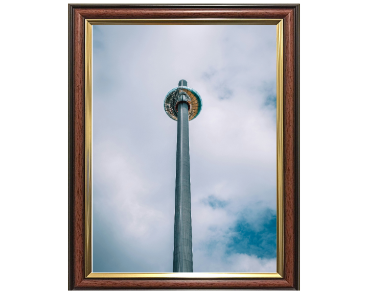 i360 ride on Brighton seafront Photo Print - Canvas - Framed Photo Print - Hampshire Prints