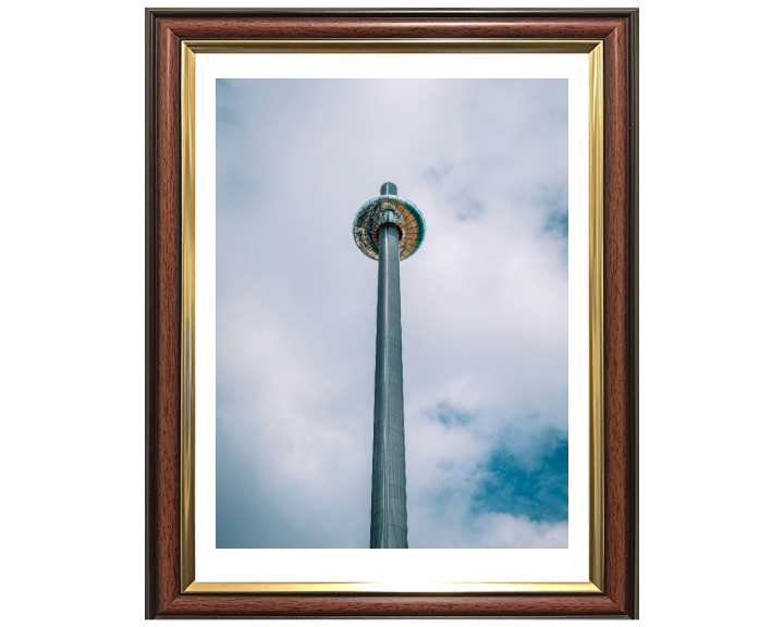 i360 ride on Brighton seafront Photo Print - Canvas - Framed Photo Print - Hampshire Prints