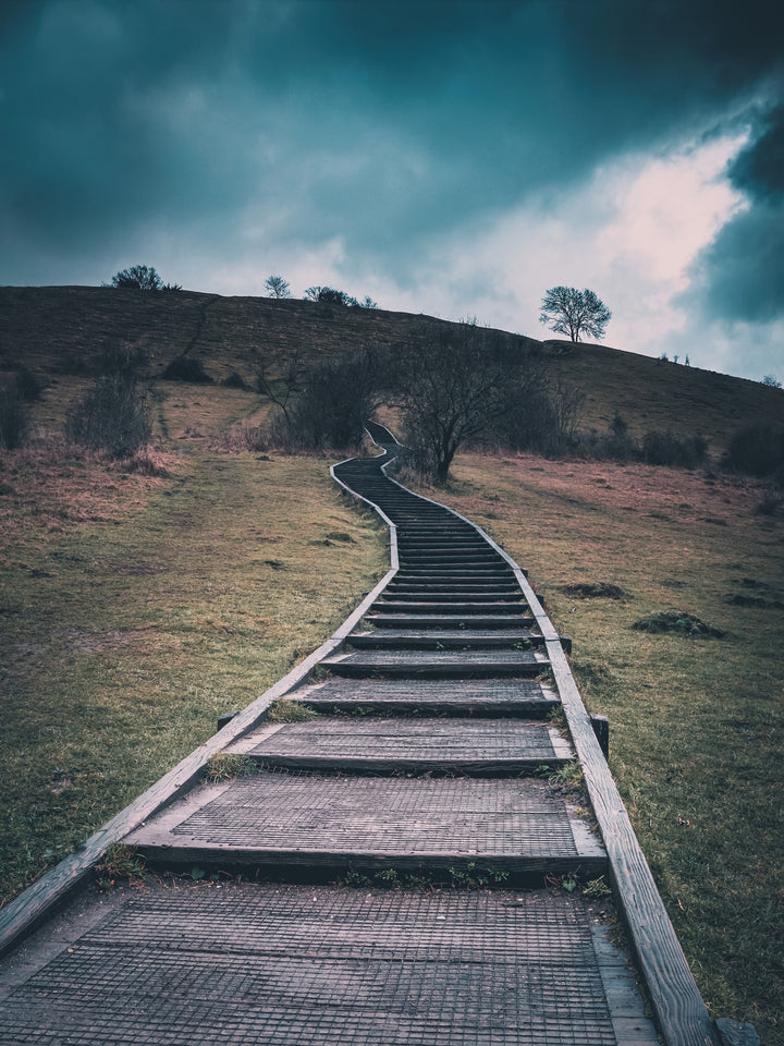 Steps leading up St Catherine's Hill Winchester Hampshire Photo Print - Canvas - Framed Photo Print - Hampshire Prints