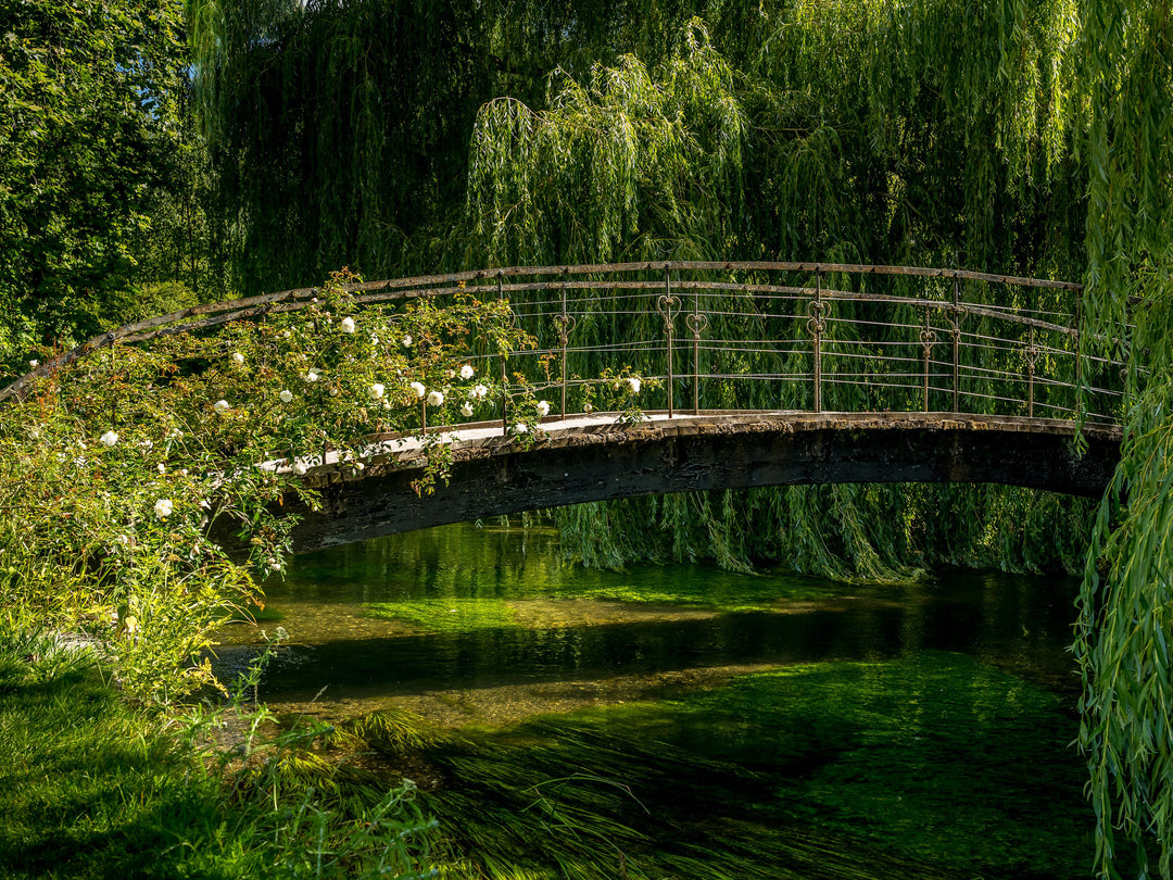 Mottisfont riverside gardens Hampshire Photo Print - Canvas - Framed Photo Print - Hampshire Prints