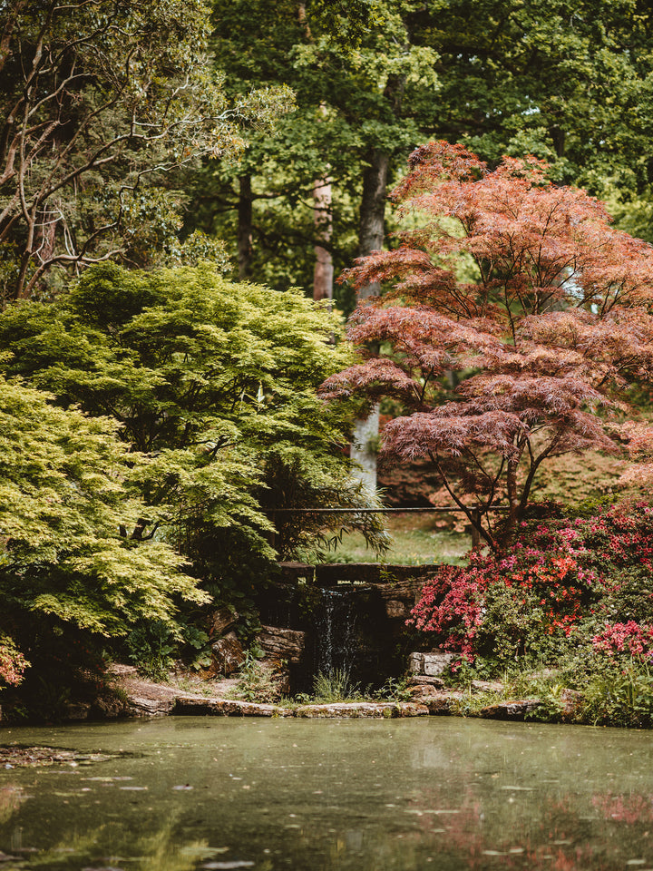 Exbury Gardens waterfall The New Forest Hampshire in Autumn Photo Print - Canvas - Framed Photo Print - Hampshire Prints