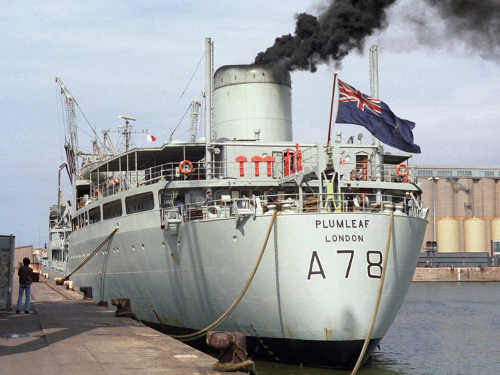 RFA Plumleaf A78 Royal Fleet Auxiliary Leaf class support tanker Photo Print or Framed Print - Hampshire Prints