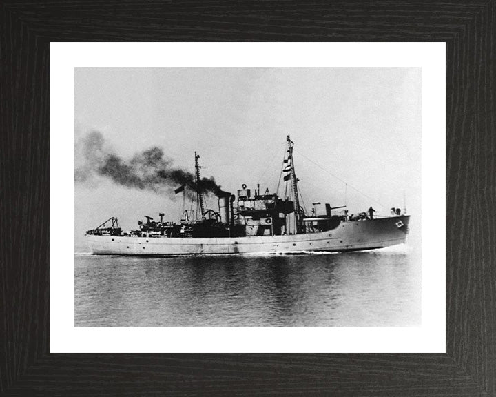 HMS Tango T146 Royal Navy Dance class Trawler Photo Print or Framed Print - Hampshire Prints