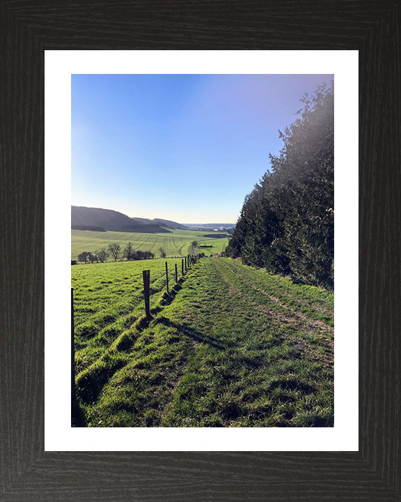 Kingley Vale National Nature Reserve West Sussex Photo Print - Canvas - Framed Photo Print - Hampshire Prints