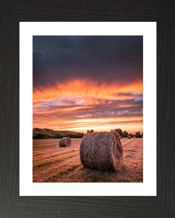 Hay bales at sunset in Hampshire Photo Print - Canvas - Framed Photo Print - Hampshire Prints