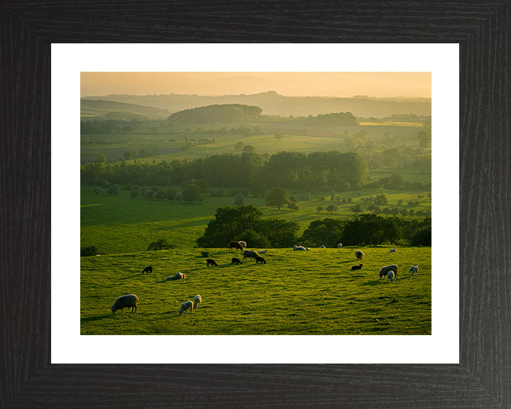 The Yorkshire Dales at sunset Photo Print - Canvas - Framed Photo Print - Hampshire Prints