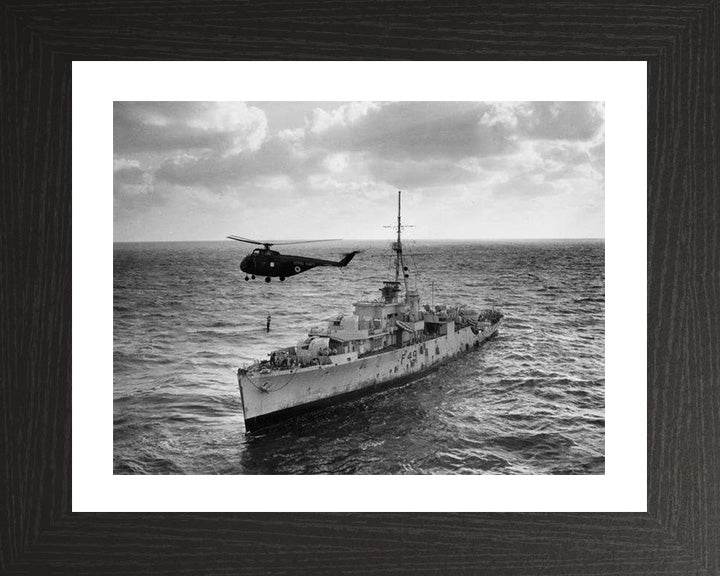 HMS Pheasant F49 (U49) Royal Navy Modified Black Swan class sloop Photo Print or Framed Print - Hampshire Prints