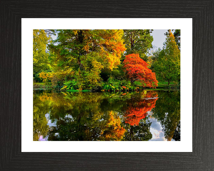 Exbury Gardens The New Forest Hampshire in Autumn Photo Print - Canvas - Framed Photo Print - Hampshire Prints