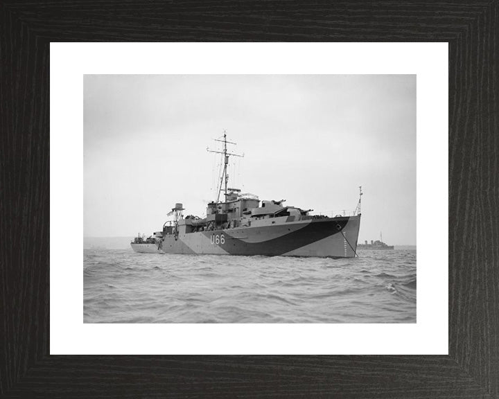 HMS Starling U66 Royal Navy Modified Black Swan Class sloop Photo Print or Framed Print - Hampshire Prints