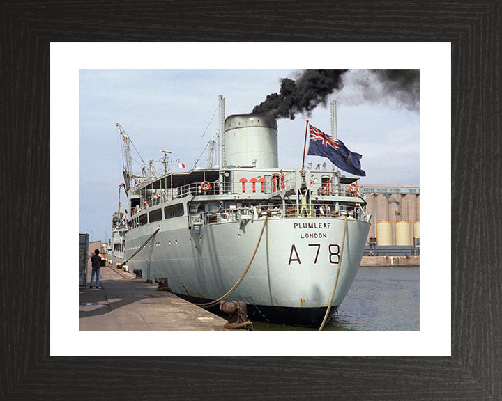 RFA Plumleaf A78 Royal Fleet Auxiliary Leaf class support tanker Photo Print or Framed Print - Hampshire Prints