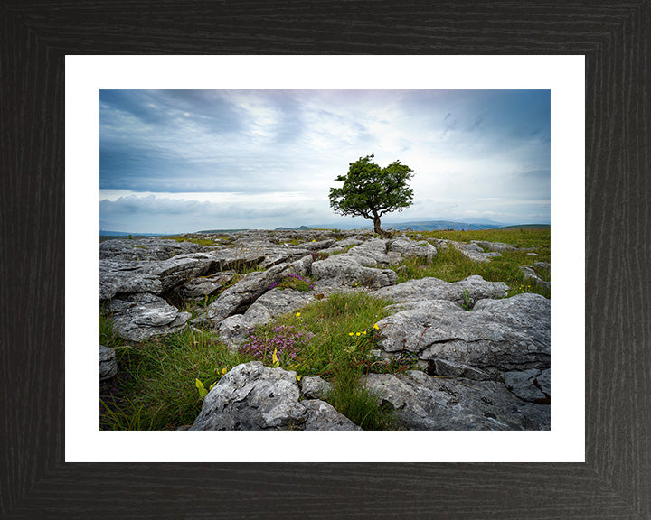 A lone tree in The Yorkshire Dales Photo Print - Canvas - Framed Photo Print - Hampshire Prints