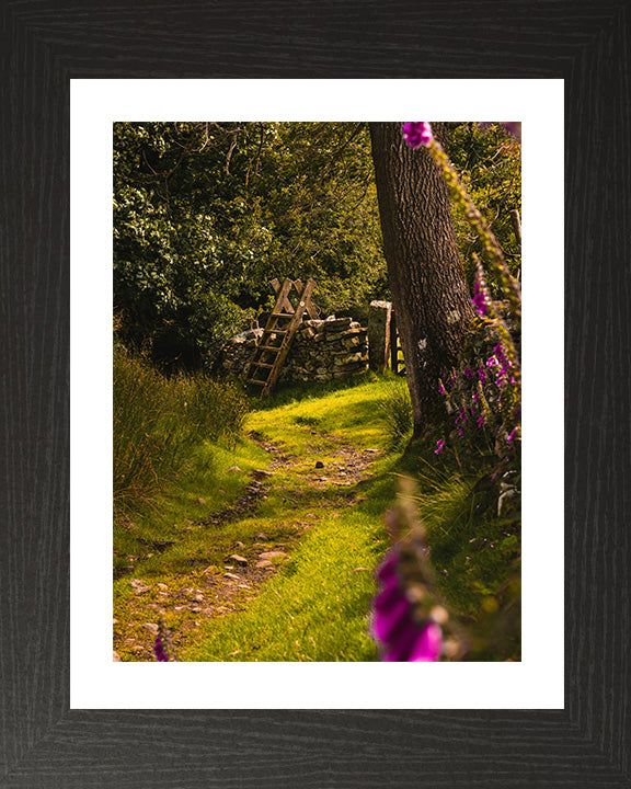 The Yorkshire Dales countryside in spring Photo Print - Canvas - Framed Photo Print - Hampshire Prints