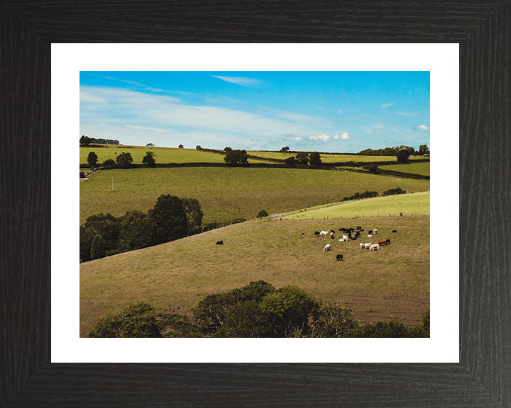 The Cornish countryside in summer Cornwall Photo Print - Canvas - Framed Photo Print - Hampshire Prints