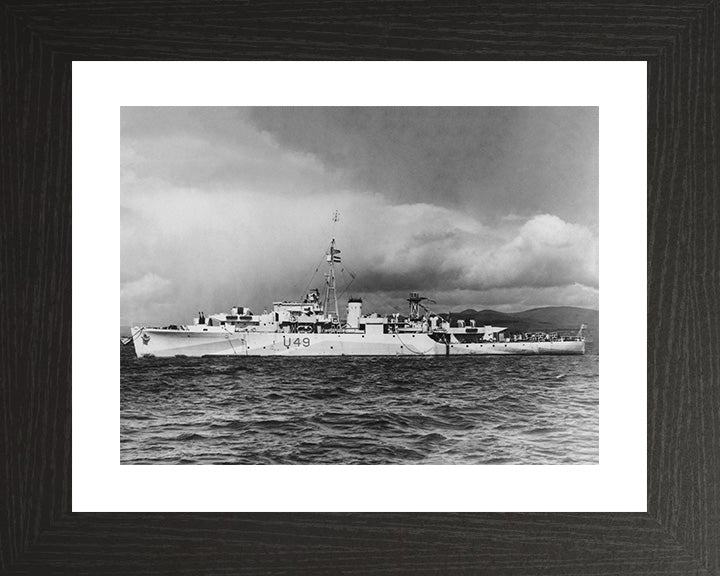 HMS Pheasant U49 Royal Navy Modified Black Swan Class sloop Photo Print or Framed Print - Hampshire Prints