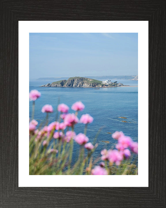 Burgh Island Devon in spring Photo Print - Canvas - Framed Photo Print - Hampshire Prints