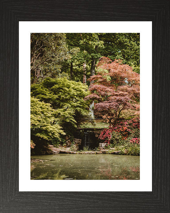 Exbury Gardens waterfall The New Forest Hampshire in Autumn Photo Print - Canvas - Framed Photo Print - Hampshire Prints