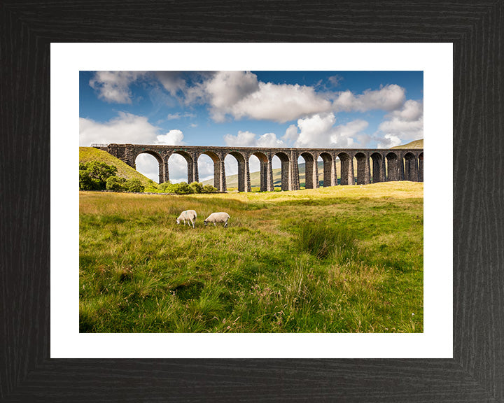 The Ribblehead Viaduct North Yorkshire in summer Photo Print - Canvas - Framed Photo Print - Hampshire Prints