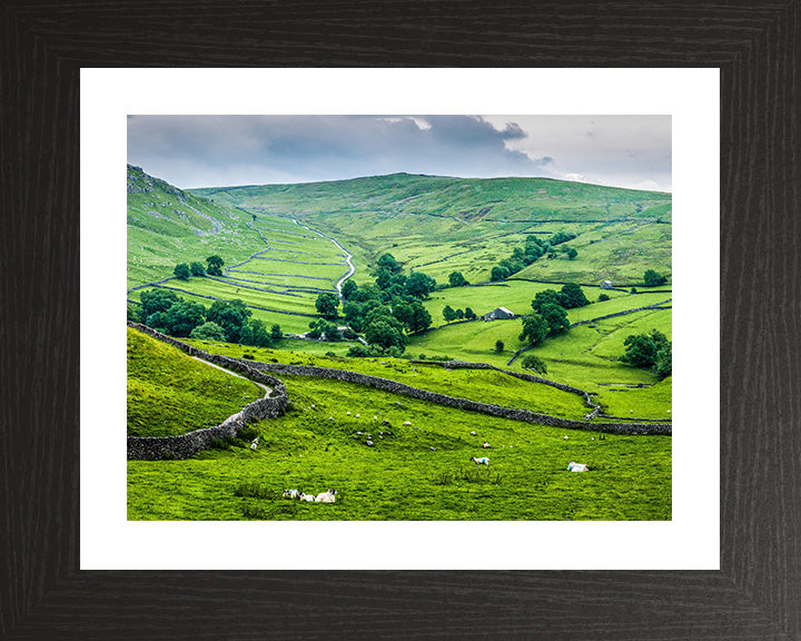 The Yorkshire Dales in spring Photo Print - Canvas - Framed Photo Print - Hampshire Prints