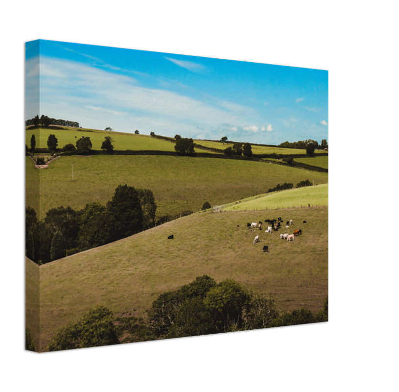 The Cornish countryside in summer Cornwall Photo Print - Canvas - Framed Photo Print - Hampshire Prints