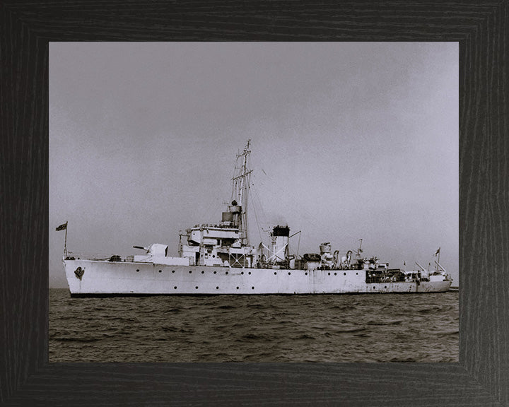 HMS Ready J223 Royal Navy Algerine class minesweeper Photo Print or Framed Print - Hampshire Prints