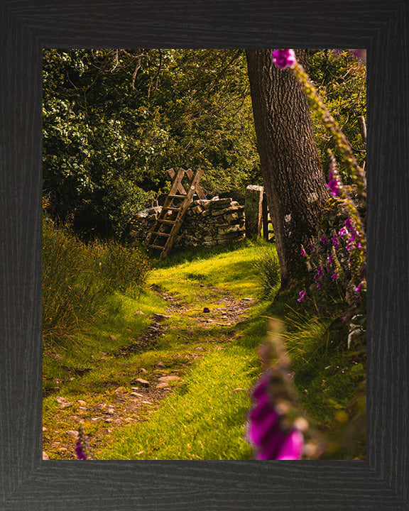 The Yorkshire Dales countryside in spring Photo Print - Canvas - Framed Photo Print - Hampshire Prints