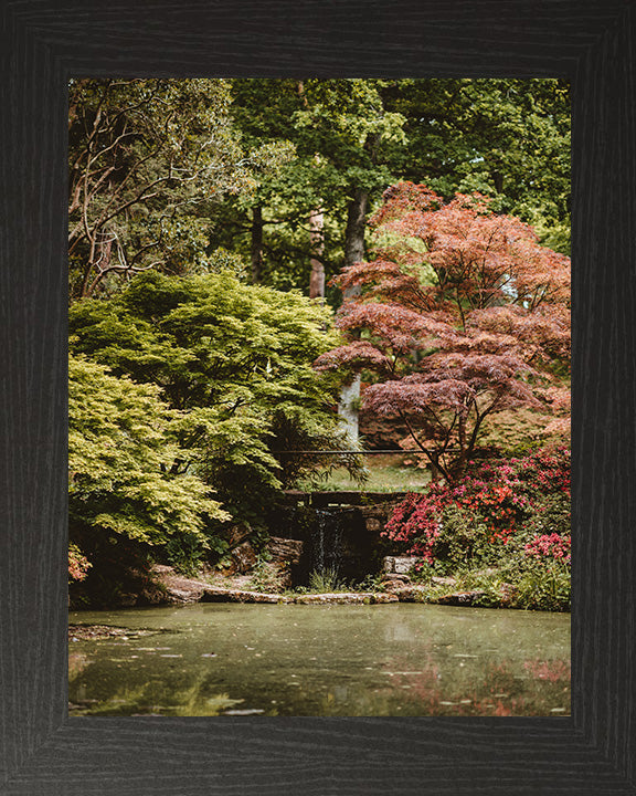 Exbury Gardens waterfall The New Forest Hampshire in Autumn Photo Print - Canvas - Framed Photo Print - Hampshire Prints