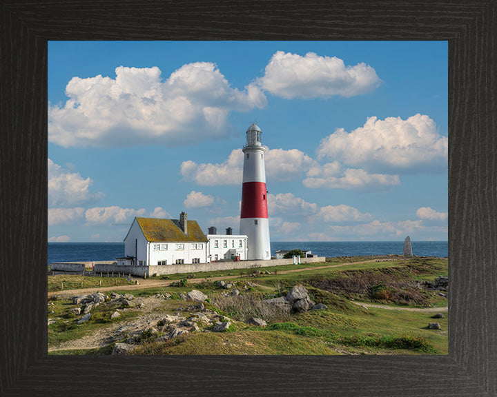 Portland Bill Lighthouse Dorset in summer Photo Print - Canvas - Framed Photo Print - Hampshire Prints