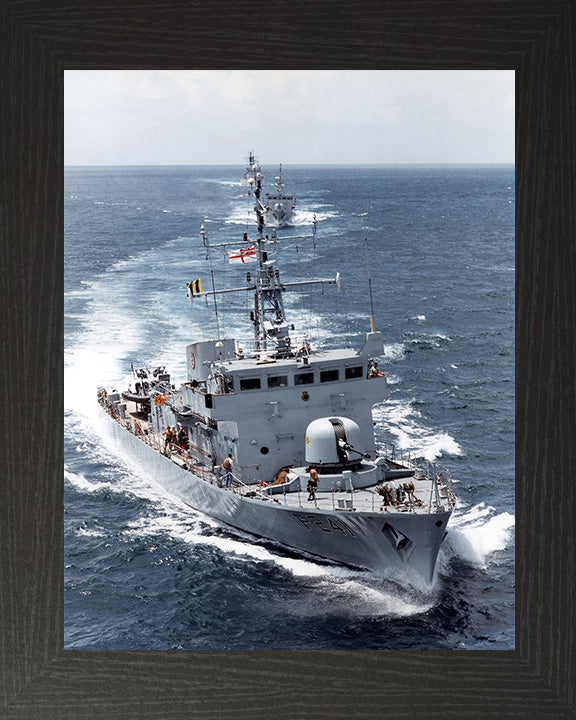 HMS Starling P241 | Photo Print | Framed Print | Peacock Class | Patrol Vessel | Royal Navy - Hampshire Prints