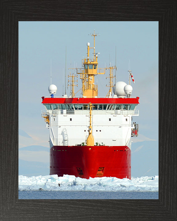 HMS Protector A173 Royal Navy Ice patrol ship Photo Print or Framed Print - Hampshire Prints