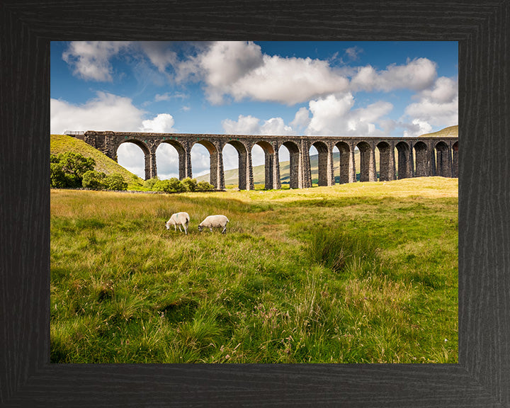 The Ribblehead Viaduct North Yorkshire in summer Photo Print - Canvas - Framed Photo Print - Hampshire Prints