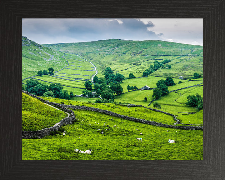 The Yorkshire Dales in spring Photo Print - Canvas - Framed Photo Print - Hampshire Prints