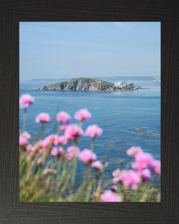 Burgh Island Devon in spring Photo Print - Canvas - Framed Photo Print - Hampshire Prints