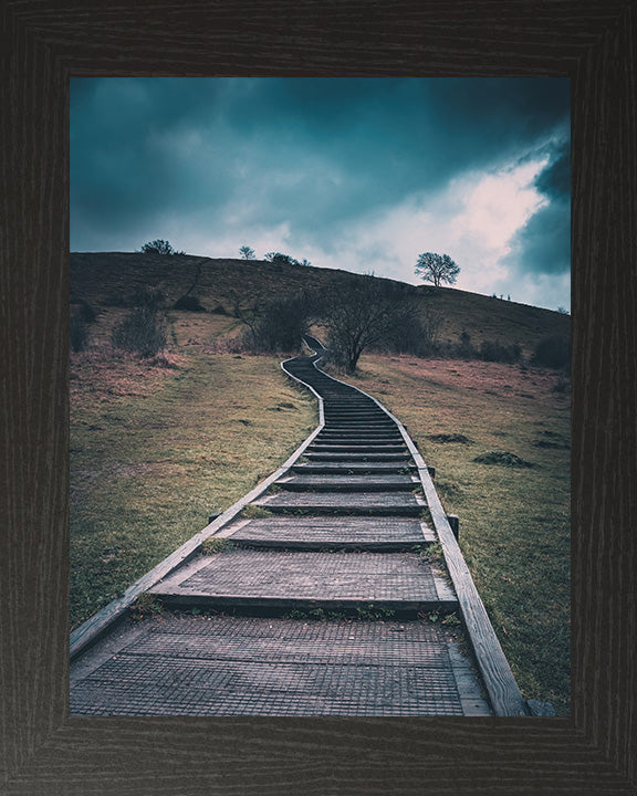 Steps leading up St Catherine's Hill Winchester Hampshire Photo Print - Canvas - Framed Photo Print - Hampshire Prints