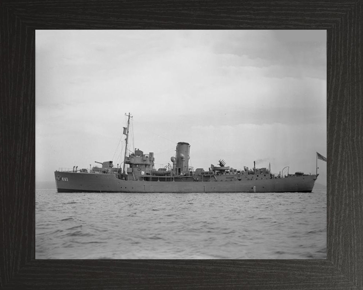 HMS Picotee K63 Royal Navy Flower class corvette Photo Print or Framed Print