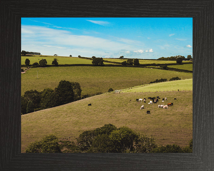 The Cornish countryside in summer Cornwall Photo Print - Canvas - Framed Photo Print - Hampshire Prints