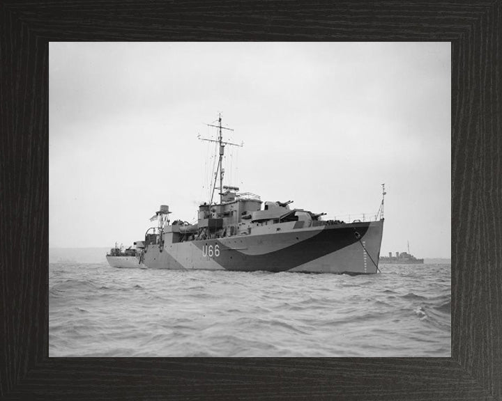 HMS Starling U66 Royal Navy Modified Black Swan Class sloop Photo Print or Framed Print - Hampshire Prints