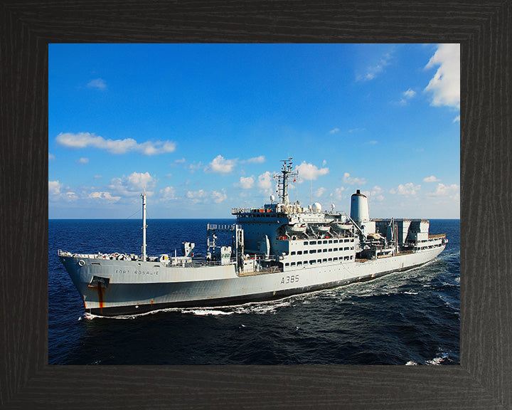 RFA Fort Rosalie A385 Royal Fleet Auxiliary Fort Rosalie Class replenishment ship Photo Print or Framed Print - Hampshire Prints