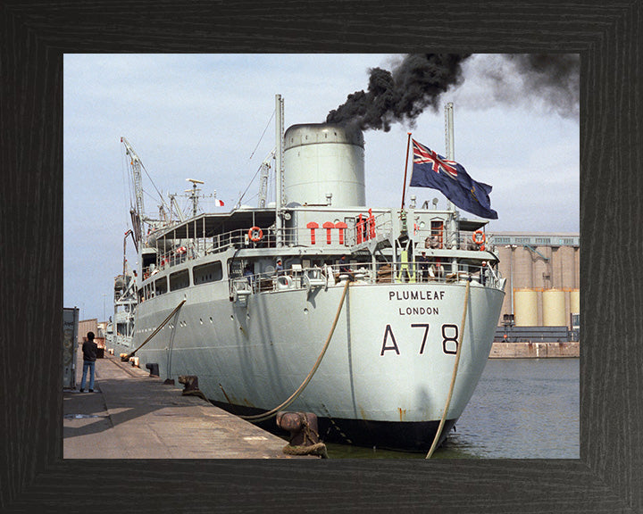 RFA Plumleaf A78 Royal Fleet Auxiliary Leaf class support tanker Photo Print or Framed Print - Hampshire Prints