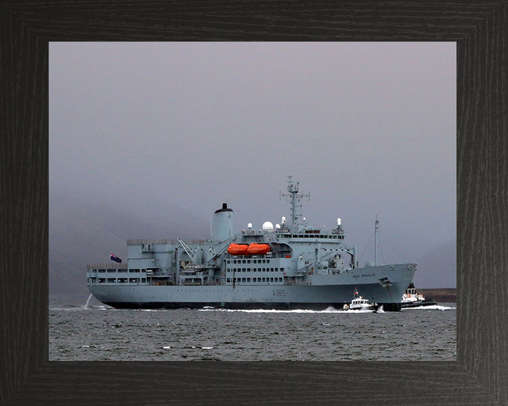 RFA Fort Rosalie A385 Royal Fleet Auxiliary Fort Rosalie Class replenishment ship Photo Print or Framed Print - Hampshire Prints