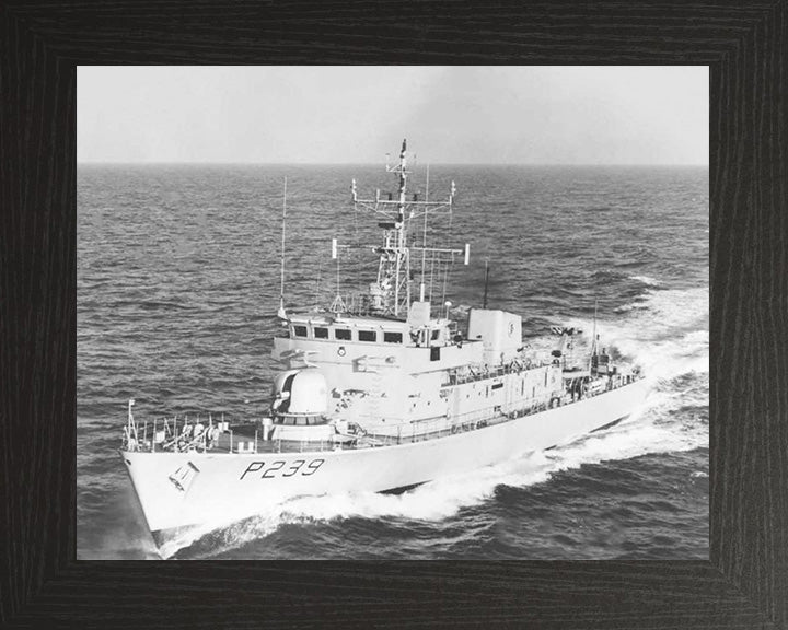 HMS Peacock P239 Royal Navy Peacock Class Patrol Vessel Photo Print or Framed Print - Hampshire Prints