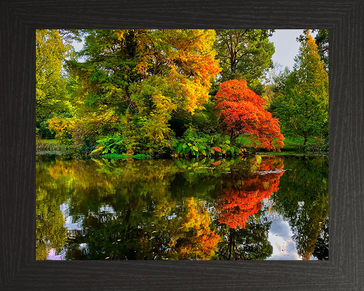 Exbury Gardens The New Forest Hampshire in Autumn Photo Print - Canvas - Framed Photo Print - Hampshire Prints