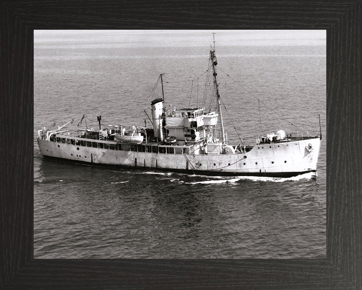 HMS Gateshead T288 Royal Navy Isles class Trawler Photo Print or Framed Print - Hampshire Prints