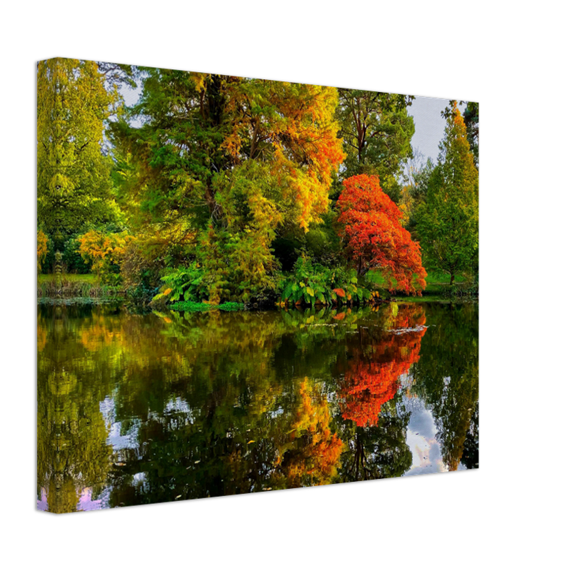 Exbury Gardens The New Forest Hampshire in Autumn Photo Print - Canvas - Framed Photo Print - Hampshire Prints