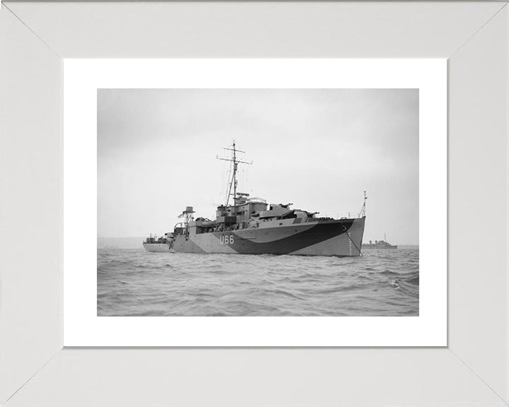 HMS Starling U66 Royal Navy Modified Black Swan Class sloop Photo Print or Framed Print - Hampshire Prints