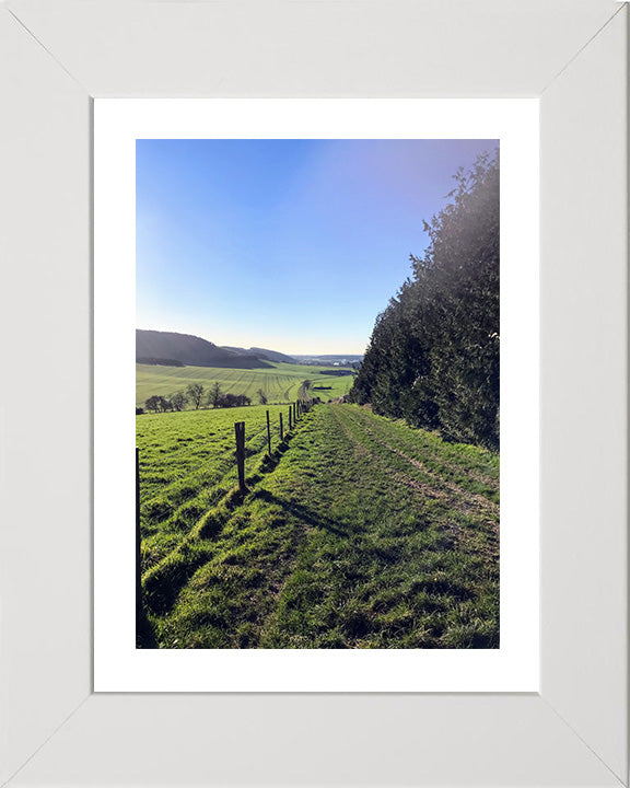 Kingley Vale National Nature Reserve West Sussex Photo Print - Canvas - Framed Photo Print - Hampshire Prints