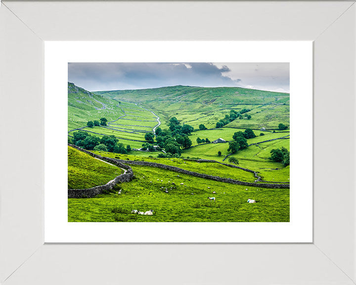 The Yorkshire Dales in spring Photo Print - Canvas - Framed Photo Print - Hampshire Prints