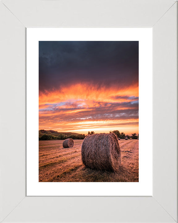 Hay bales at sunset in Hampshire Photo Print - Canvas - Framed Photo Print - Hampshire Prints