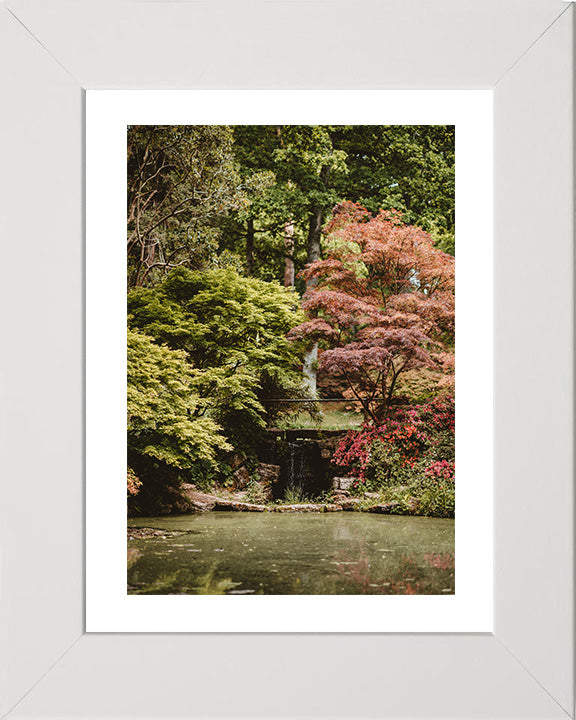 Exbury Gardens waterfall The New Forest Hampshire in Autumn Photo Print - Canvas - Framed Photo Print - Hampshire Prints